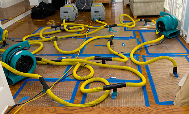 Professional Structural Drying And Dehumidification technician working in Oyster Bay, NY